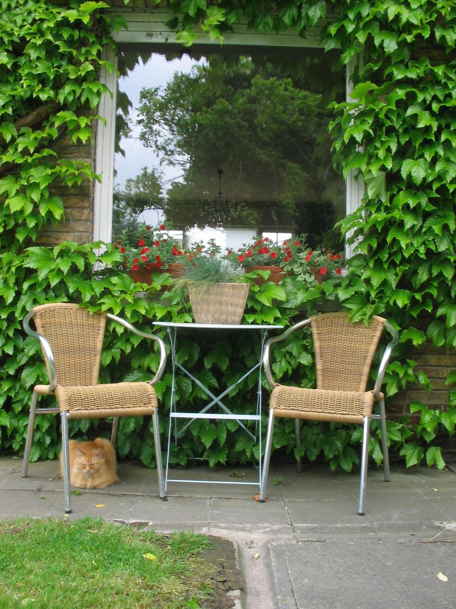 B&B Villa Vanilla Ypres Exterior foto